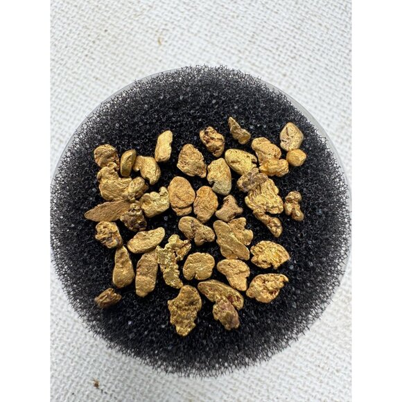 One Gold Nugget from California in Display Case - 0.05 grams - Picture 5 of 7